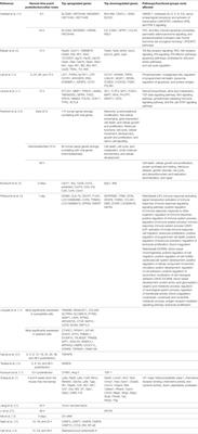 Monitoring the Efficacy of Oncolytic Viruses via Gene Expression